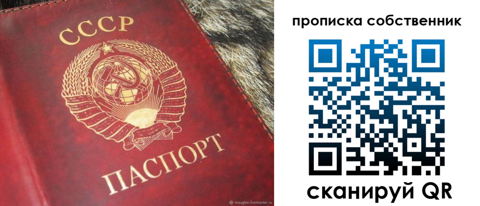 прописка в квартире в Бавлах